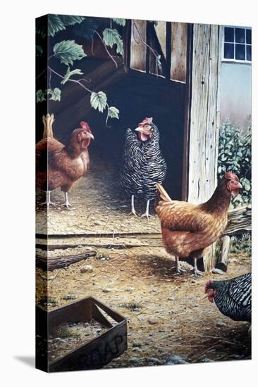 Russell’s chickens-Kevin Dodds-Premier Image Canvas