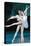 Russian National Ballet Dancers-null-Premier Image Canvas