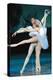 Russian National Ballet Dancers-null-Premier Image Canvas