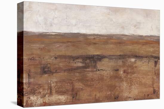 Rust Terrain II-Ethan Harper-Stretched Canvas