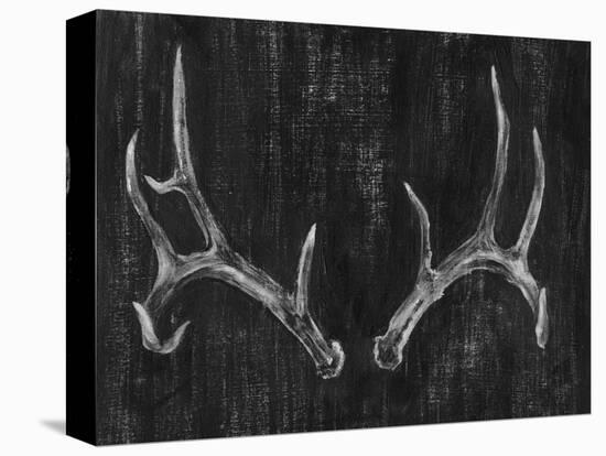 Rustic Antlers II-Ethan Harper-Stretched Canvas