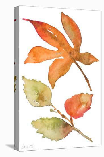 Rustic Autumn Leaves I-Lanie Loreth-Stretched Canvas