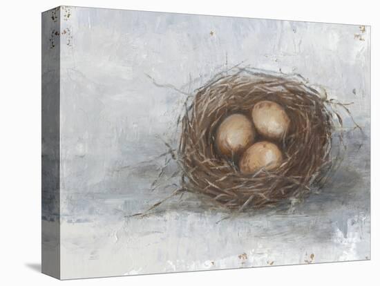 Rustic Bird Nest II-Ethan Harper-Stretched Canvas