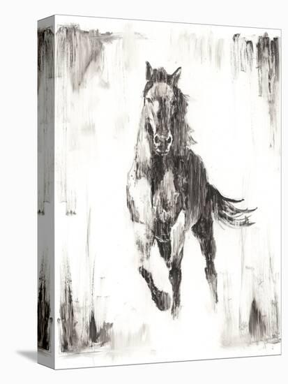 Rustic Black Stallion II-null-Stretched Canvas