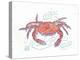 Rustic Crab-Sudi Mccollum-Stretched Canvas