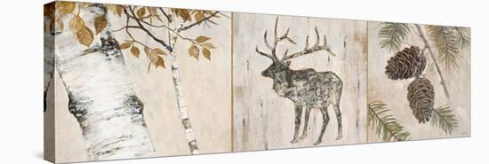 Rustic Forest Panel-Arnie Fisk-Stretched Canvas