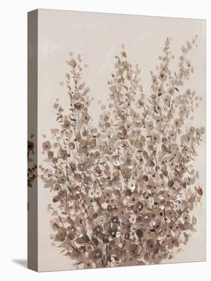 Rustic Wildflowers II-Tim OToole-Stretched Canvas
