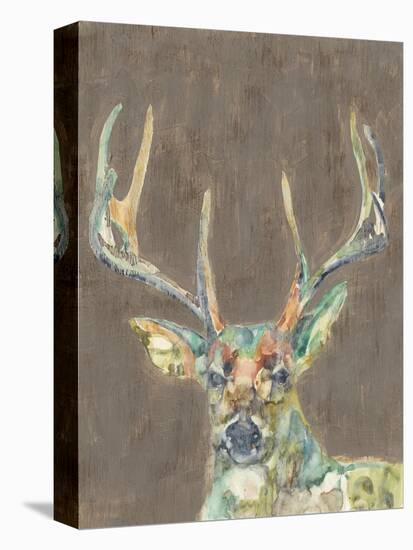 Rustic Wildlife I-Jennifer Goldberger-Stretched Canvas