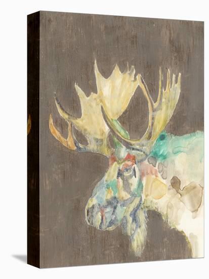 Rustic Wildlife IV-Jennifer Goldberger-Stretched Canvas