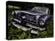 Rusty Auto II-PHBurchett-Premier Image Canvas