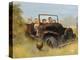 Rusty Car-Dianne Dengel-Premier Image Canvas