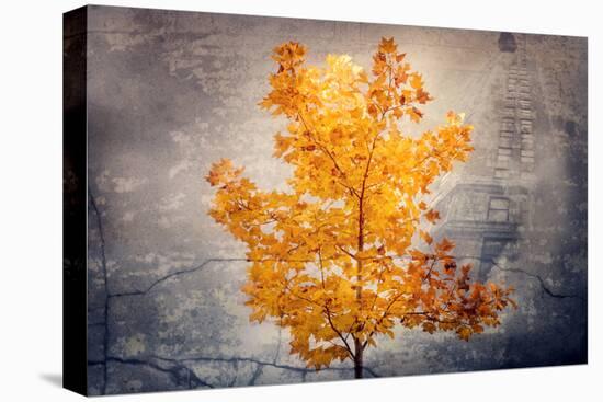 Rusty Fall-Philippe Sainte-Laudy-Premier Image Canvas