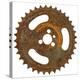 Rusty Fine Tooth Gear-Retroplanet-Premier Image Canvas