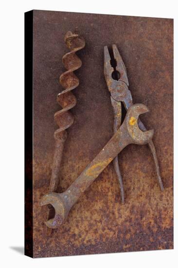 Rusty Old Double-headed Spanner Lying Next To Large Drill Bit And Rusty Pliers On Rusty Metal Sheet-Den Reader-Premier Image Canvas