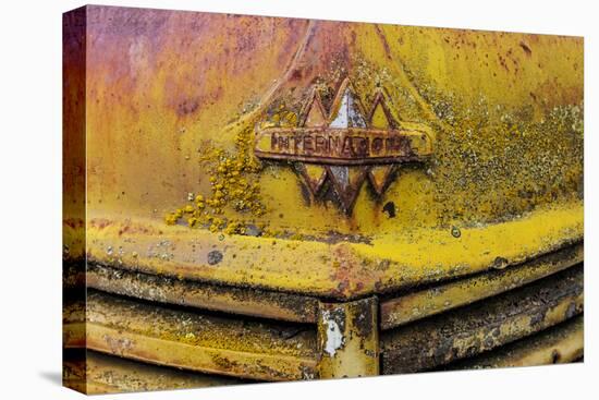 Rusty Old Truck Details Near Salmo, British Columbia, Canada-Chuck Haney-Premier Image Canvas