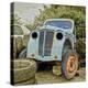 Rusty Old Truck-Salvatore Elia-Premier Image Canvas