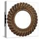 Rusty Small Spiral Gear-Retroplanet-Premier Image Canvas