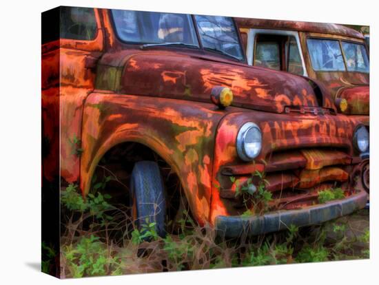 Rusty Trucks at Old Car City, Georgia, USA-Joanne Wells-Premier Image Canvas