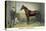Rysdyk's Hambletonian-Currier & Ives-Stretched Canvas