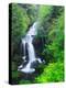 Ryuzu Water Falls-null-Premier Image Canvas