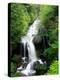 Ryuzu Water Falls-null-Premier Image Canvas