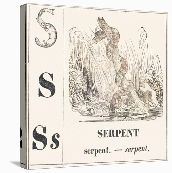 S for Serpent, 1850 (Engraving)-Louis Simon (1810-1870) Lassalle-Premier Image Canvas