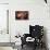 S WONDERFUL-Marsha Hammel-Stretched Canvas displayed on a wall