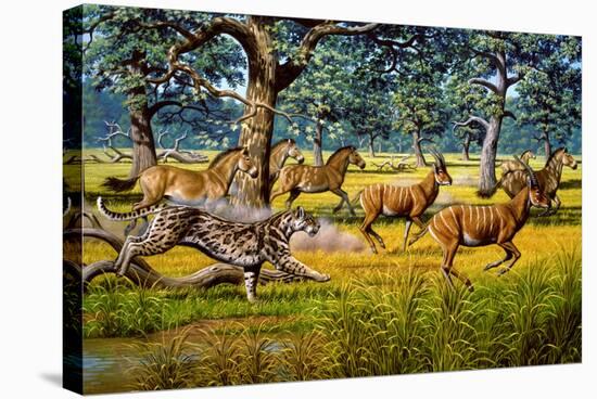 Sabre-toothed Cat Chasing Prey-Mauricio Anton-Premier Image Canvas