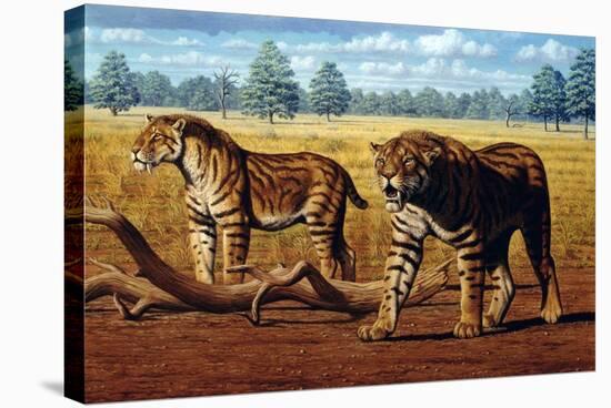 Sabre-toothed Cats, Artwork-Mauricio Anton-Premier Image Canvas