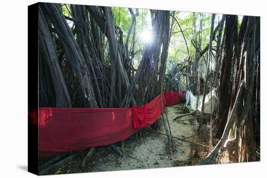 Sacred Baobab tree, Nosy Be Island, northern area, Madagascar, Africa-Christian Kober-Premier Image Canvas