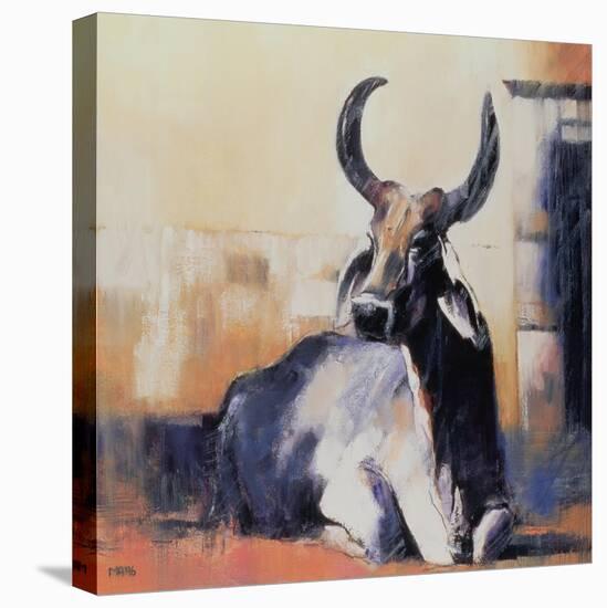 Sacred Cow, Bhuj, 1996 (Oil on Paper)-Mark Adlington-Premier Image Canvas