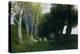 Sacred Grove, 1886-Arnold Bocklin-Premier Image Canvas