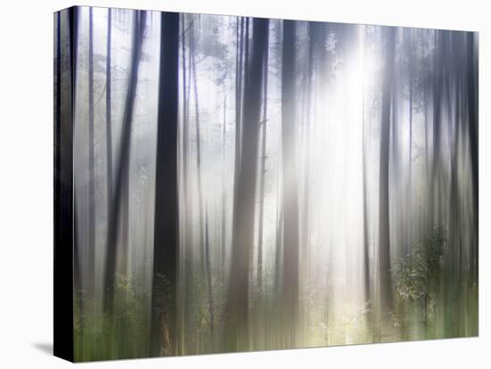 Sacred-Viviane Fedieu Daniel-Premier Image Canvas