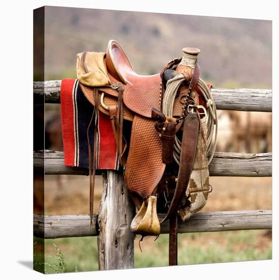 Saddle Up-Danita Delimont-Stretched Canvas