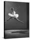 Sadler Wells Prima Ballerina Margot Fonteyn Leaping Into Air in Performance of "Sleeping Beauty"-Gjon Mili-Premier Image Canvas