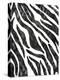 Safari Adventure Jungle Zebra Hide-Bee Sturgis-Stretched Canvas