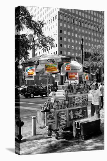 Safari CityPop Collection - NYC Hot Dog with Zebra Man-Philippe Hugonnard-Premier Image Canvas