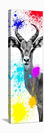 Safari Colors Pop Collection - Antelope Impala II-Philippe Hugonnard-Premier Image Canvas