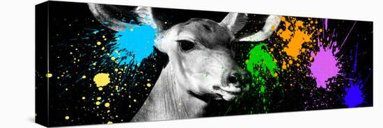 Safari Colors Pop Collection - Antelope Portrait-Philippe Hugonnard-Premier Image Canvas