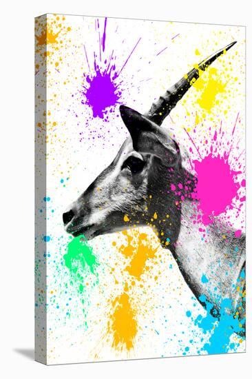 Safari Colors Pop Collection - Antelope Profile-Philippe Hugonnard-Premier Image Canvas