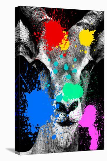 Safari Colors Pop Collection - Antelope Reedbuck II-Philippe Hugonnard-Premier Image Canvas