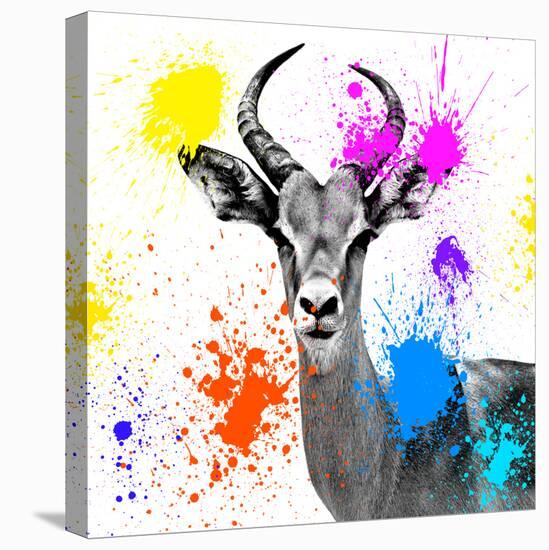 Safari Colors Pop Collection - Antelope Reedbuck III-Philippe Hugonnard-Premier Image Canvas