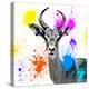 Safari Colors Pop Collection - Antelope Reedbuck III-Philippe Hugonnard-Premier Image Canvas