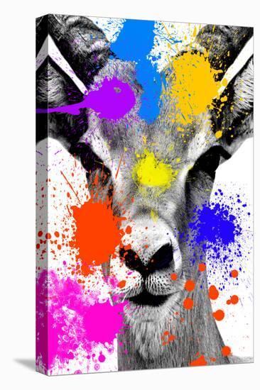 Safari Colors Pop Collection - Antelope Reedbuck-Philippe Hugonnard-Premier Image Canvas
