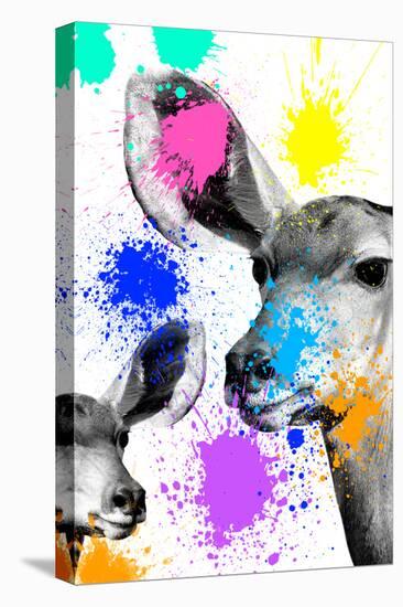 Safari Colors Pop Collection - Antelopes-Philippe Hugonnard-Premier Image Canvas