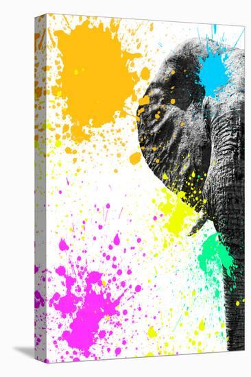 Safari Colors Pop Collection - Elephant Portrait III-Philippe Hugonnard-Premier Image Canvas