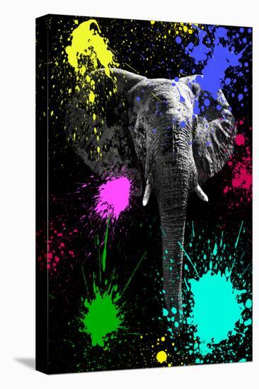 Safari Colors Pop Collection - Elephant V-Philippe Hugonnard-Premier Image Canvas