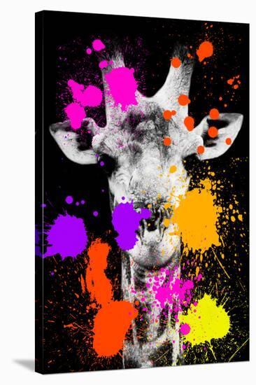 Safari Colors Pop Collection - Giraffe II-Philippe Hugonnard-Premier Image Canvas
