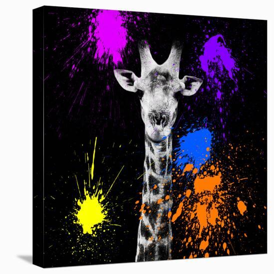 Safari Colors Pop Collection - Giraffe Portrait-Philippe Hugonnard-Premier Image Canvas