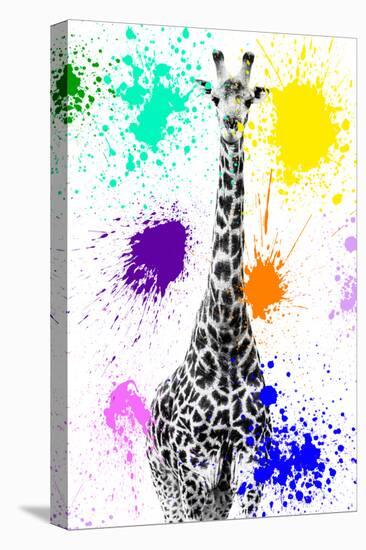 Safari Colors Pop Collection - Giraffe VIII-Philippe Hugonnard-Premier Image Canvas